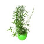 Bamboo and Sphere Fiber Glass Planter