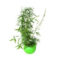 Bamboo and Sphere Fiber Glass Planter
