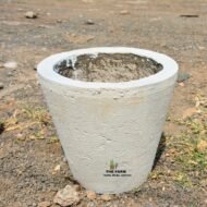 Cylindrical Concrete Planter - Image 2