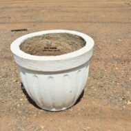 Cylindrical Concrete Planter - Image 6