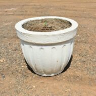 Cylindrical Concrete Planter - Image 7