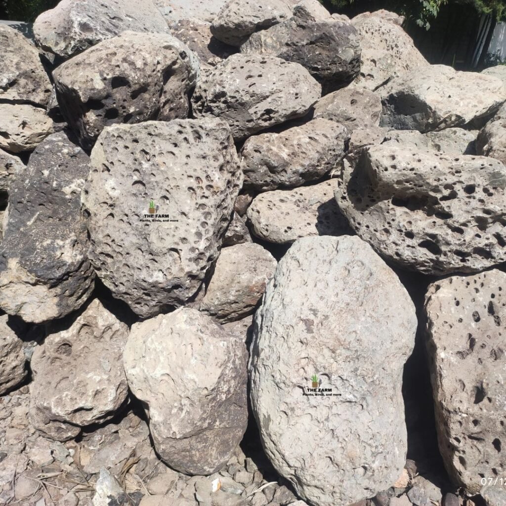 Large Porous Volcanic Rocks