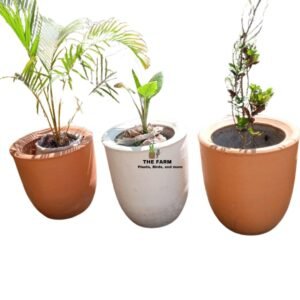 Round Concrete Flower Pots