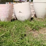 Round Concrete Planter Pots - Image 3