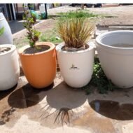 Round Concrete Flower Pots