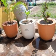 Round Concrete Flower Pots
