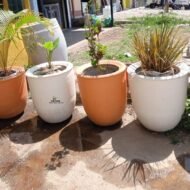 Round Concrete Planter Pots