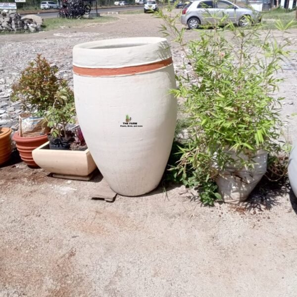 White Oval Concrete Flower Pot