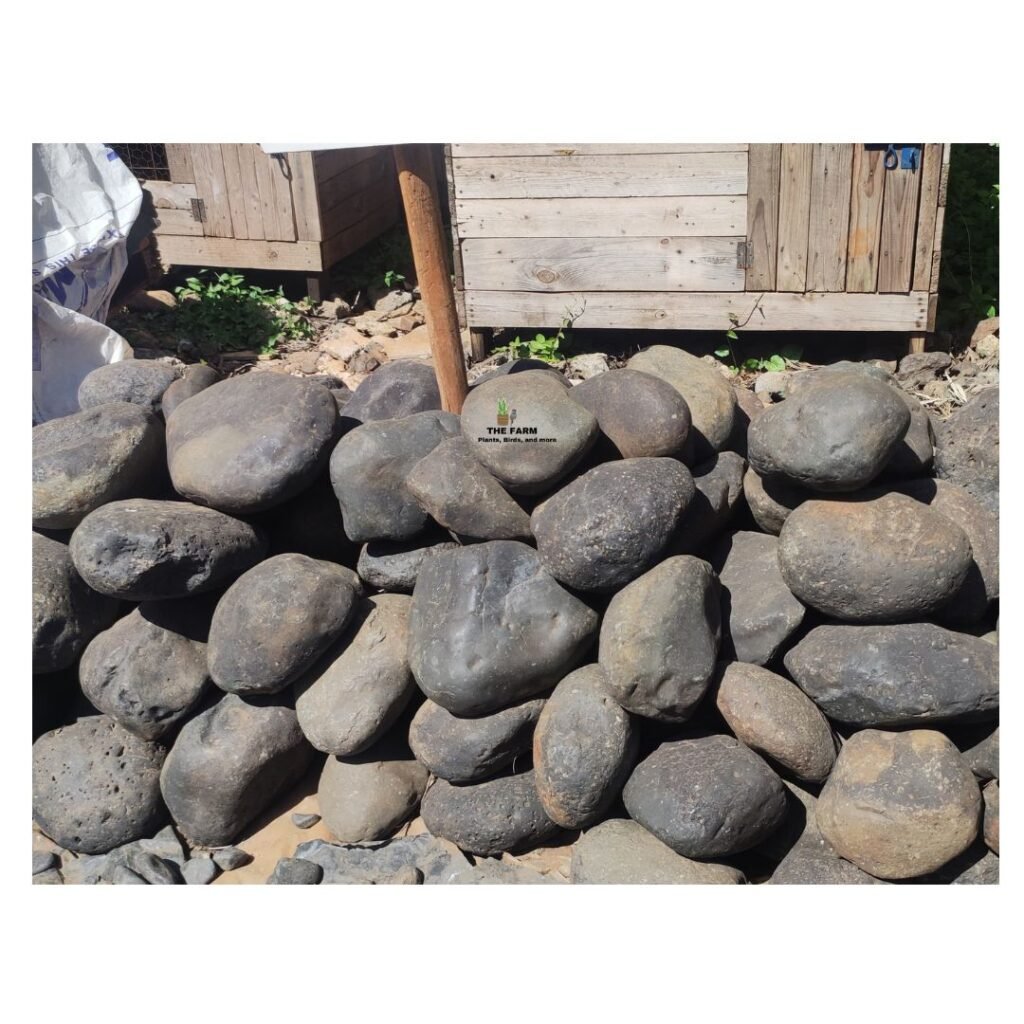 Natural Black River Pebbles