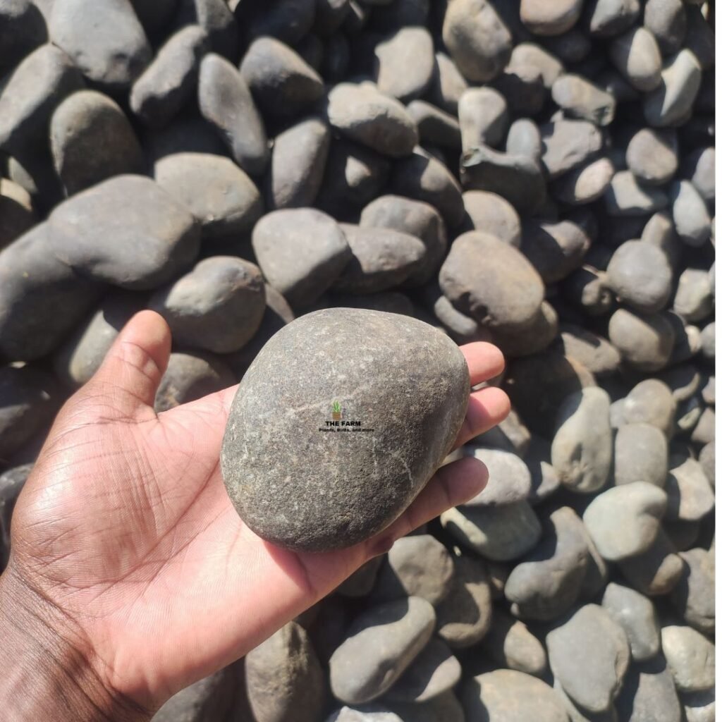 Natural Black River Pebbles