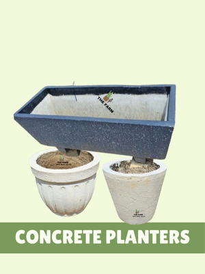 Concrete Pots