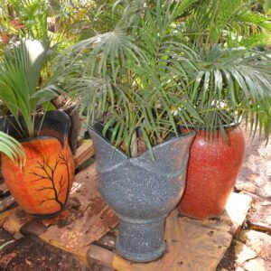 Potted Tropical Palms in Designer Pots