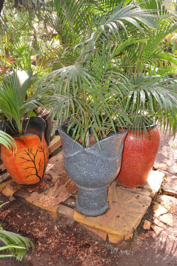 Potted Tropical Palms in Designer Pots