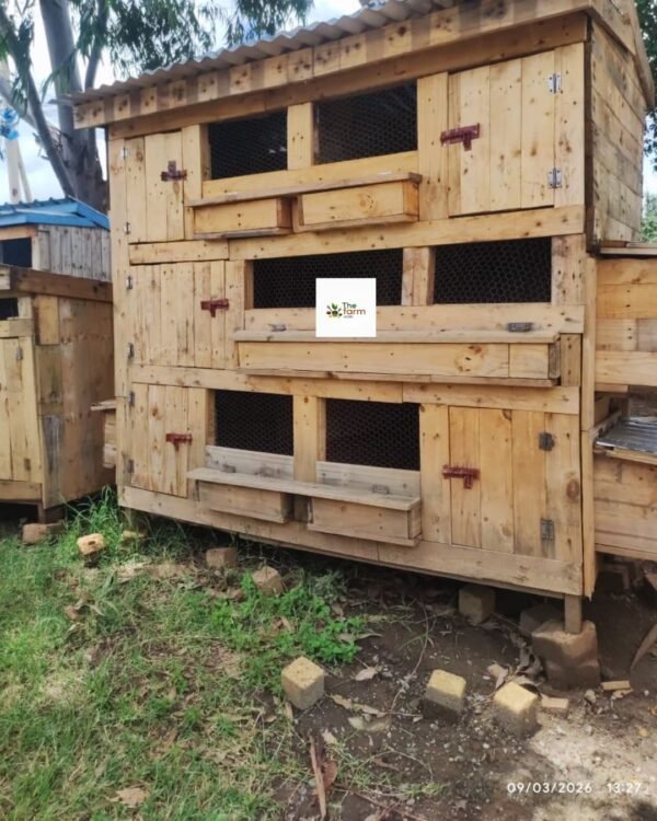 Wooden Chicken House in Kenya | Durable Multi-Level Poultry Coop with Nesting Boxes
