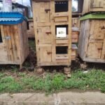 Vertical Wooden Chicken House in Kenya | Space-Saving Poultry Coop for 6–10 Chickens