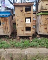 Vertical Wooden Chicken House in Kenya | Space-Saving Poultry Coop for 6–10 Chickens