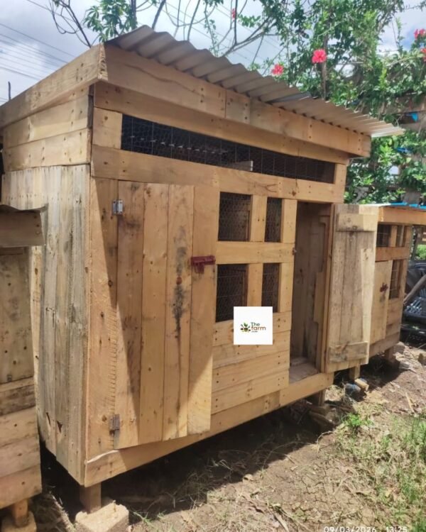 Large Wooden Chicken House Kenya | Raised Poultry Coop with Nesting Box (15-20 Chickens)