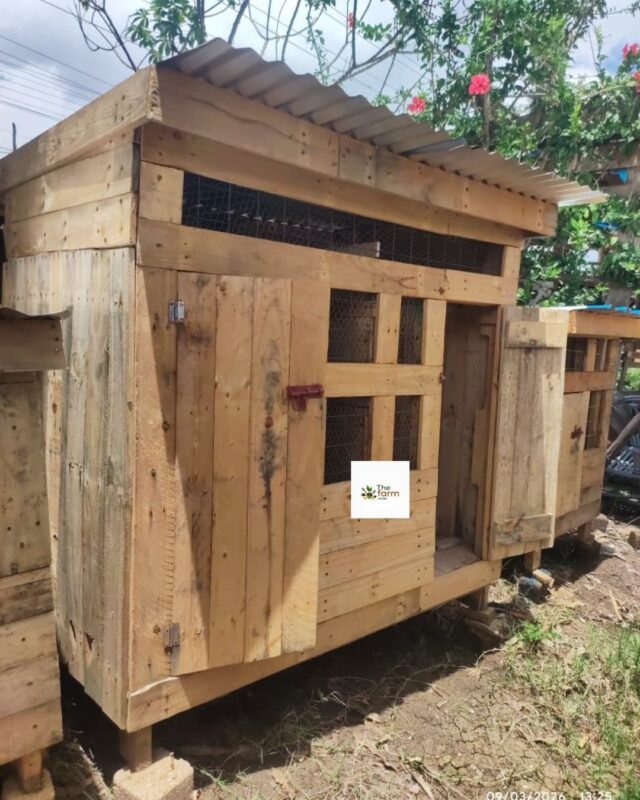 Large Wooden Chicken House Kenya | Raised Poultry Coop with Nesting Box (15-20 Chickens)