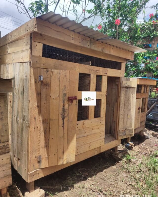 Large Wooden Chicken House Kenya | Raised Poultry Coop with Nesting Box (15-20 Chickens)