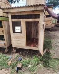 Durable Wooden Chicken House in Kenya | Raised Poultry Coop for 4–6 Chickens