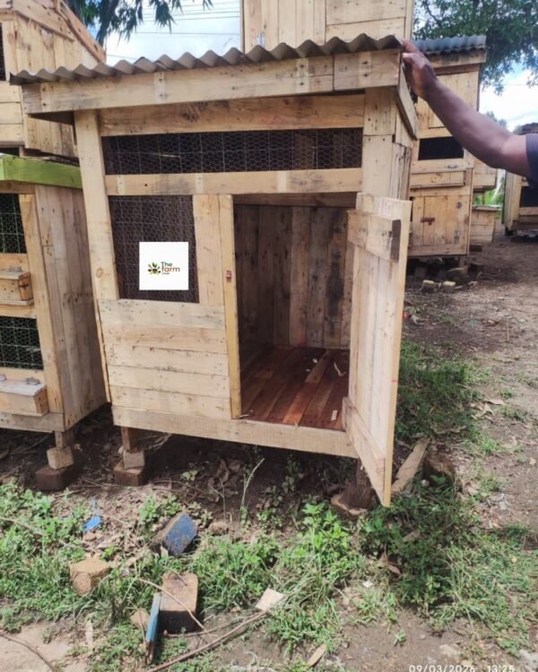 Durable Wooden Chicken House in Kenya | Raised Poultry Coop for 4–6 Chickens