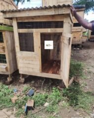 Durable Wooden Chicken House in Kenya | Raised Poultry Coop for 4–6 Chickens