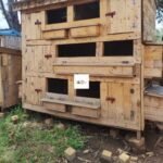 Wooden Chicken House in Kenya | Durable Multi-Level Poultry Coop with Nesting Boxes