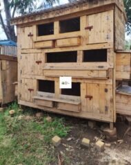 Wooden Chicken House in Kenya | Durable Multi-Level Poultry Coop with Nesting Boxes