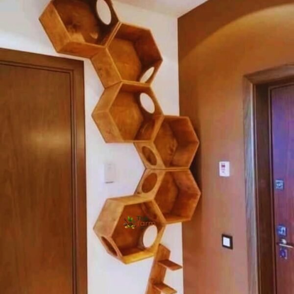 Honeycomb Cat Wall Shelf