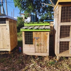 Wooden Dog Kennel