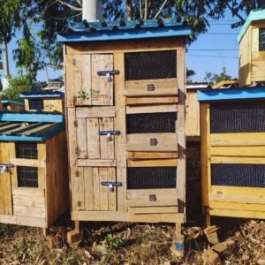 Multi-Compartment Wooden Rabbit Hutch