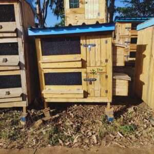 Two-Compartment Wooden Rabbit Hutch