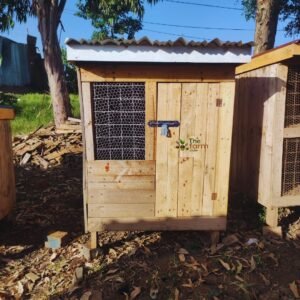 Upgrade your pet's outdoor comfort with this weatherproof dog kennel!