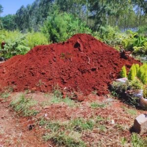 Nutrient-Rich Garden Soil