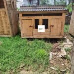 Small Wooden Chicken House in Kenya | Compact Poultry Coop for 8–12 Chickens