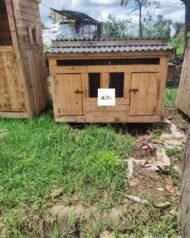 Small Wooden Chicken House in Kenya | Compact Poultry Coop for 8–12 Chickens