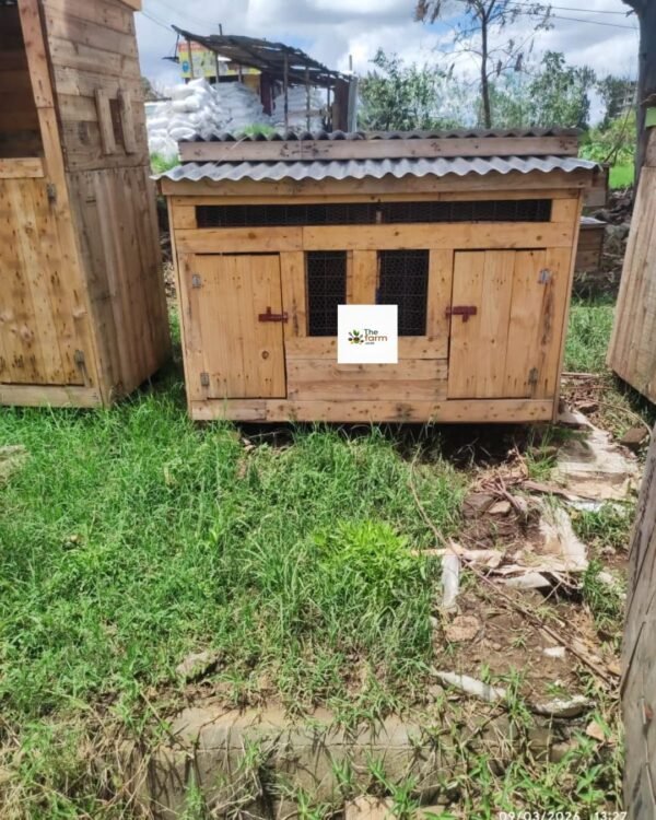 Small Wooden Chicken House in Kenya | Compact Poultry Coop for 8–12 Chickens