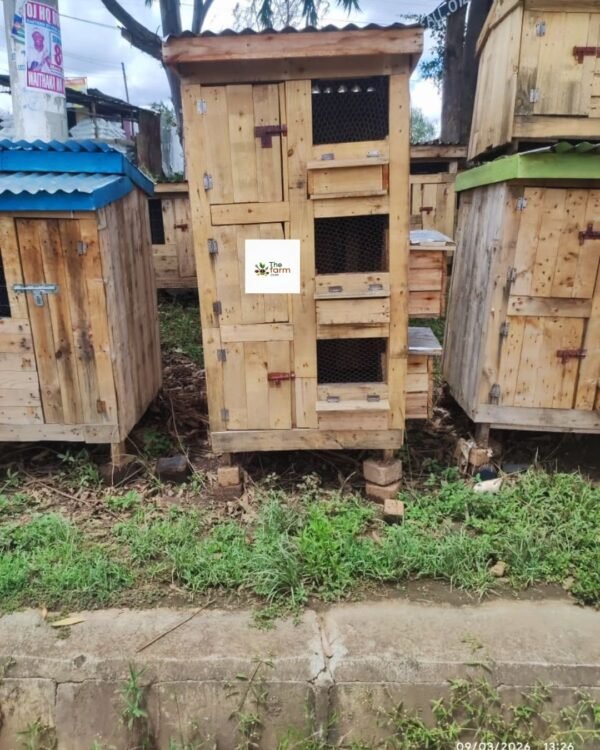Vertical Wooden Chicken House in Kenya | Space-Saving Poultry Coop for 6–10 Chickens