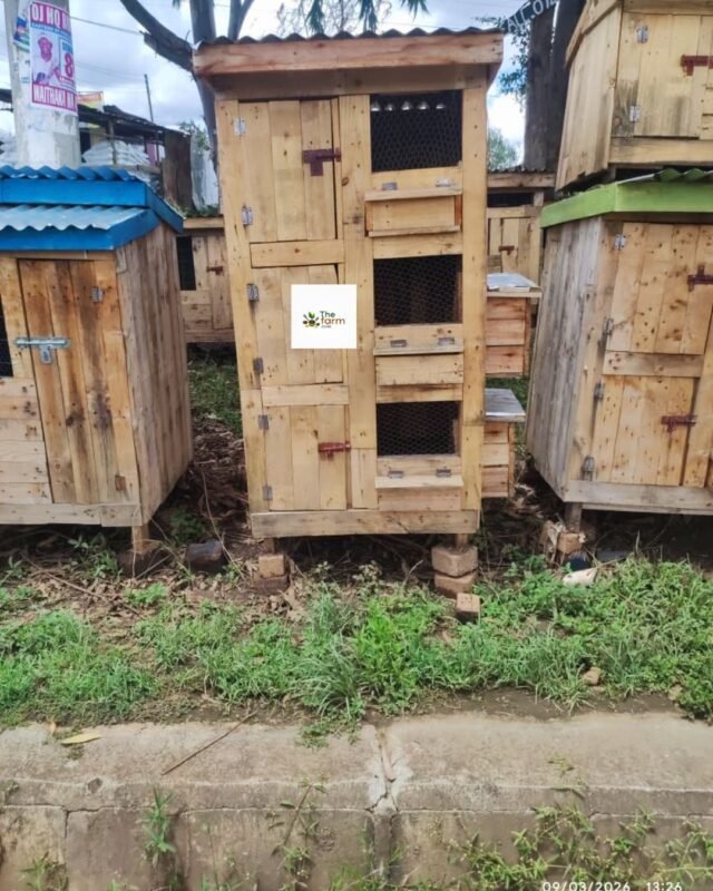 Vertical Wooden Chicken House in Kenya | Space-Saving Poultry Coop for 6–10 Chickens