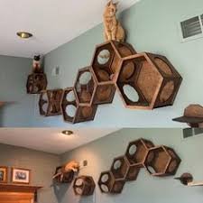 Honeycomb Cat Wall Shelf