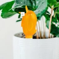 Plant Water Dispenser