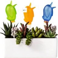 Plant Water Dispenser