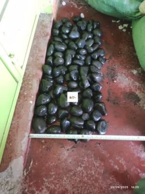 Black Pebbles