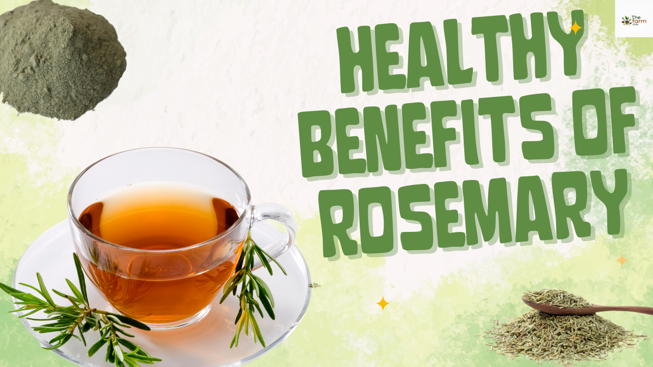 Top Rosemary Leaves Benefits Kenyans Should Know