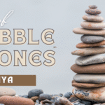 Types of Pebble Stones in Kenya That Will Instantly Transform Your Plant Space