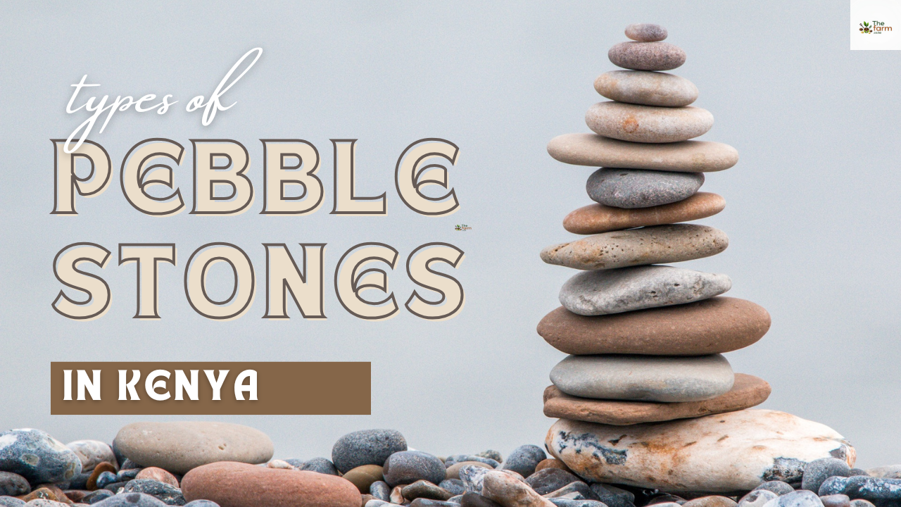 Types of Pebble Stones in Kenya That Will Instantly Transform Your Plant Space
