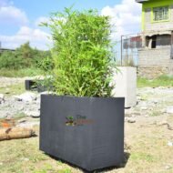 Zephyr Concrete Planter - Model KCE04 - Image 2