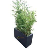 Zephyr Concrete Planter - Model KCE04