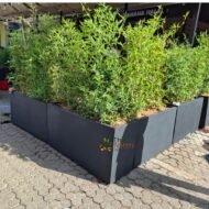 1.2 Meter Smooth-Finish Concrete Planter – Custom Paint | Floating Hidden-Foot Design - Image 2