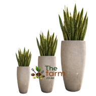 Small size Olive concrete planter A - Image 2